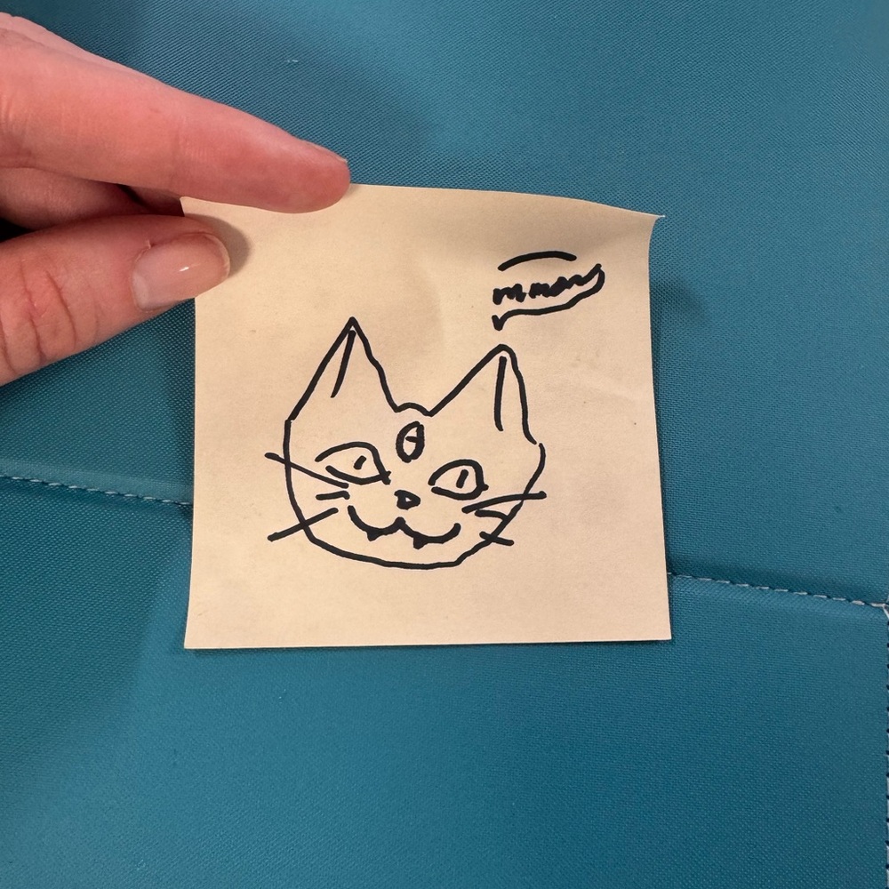 Meet your Posher, Caitlin